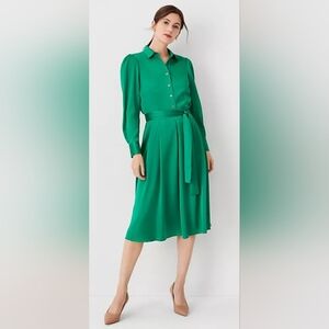 Ann Taylor Pleated Shirt dress